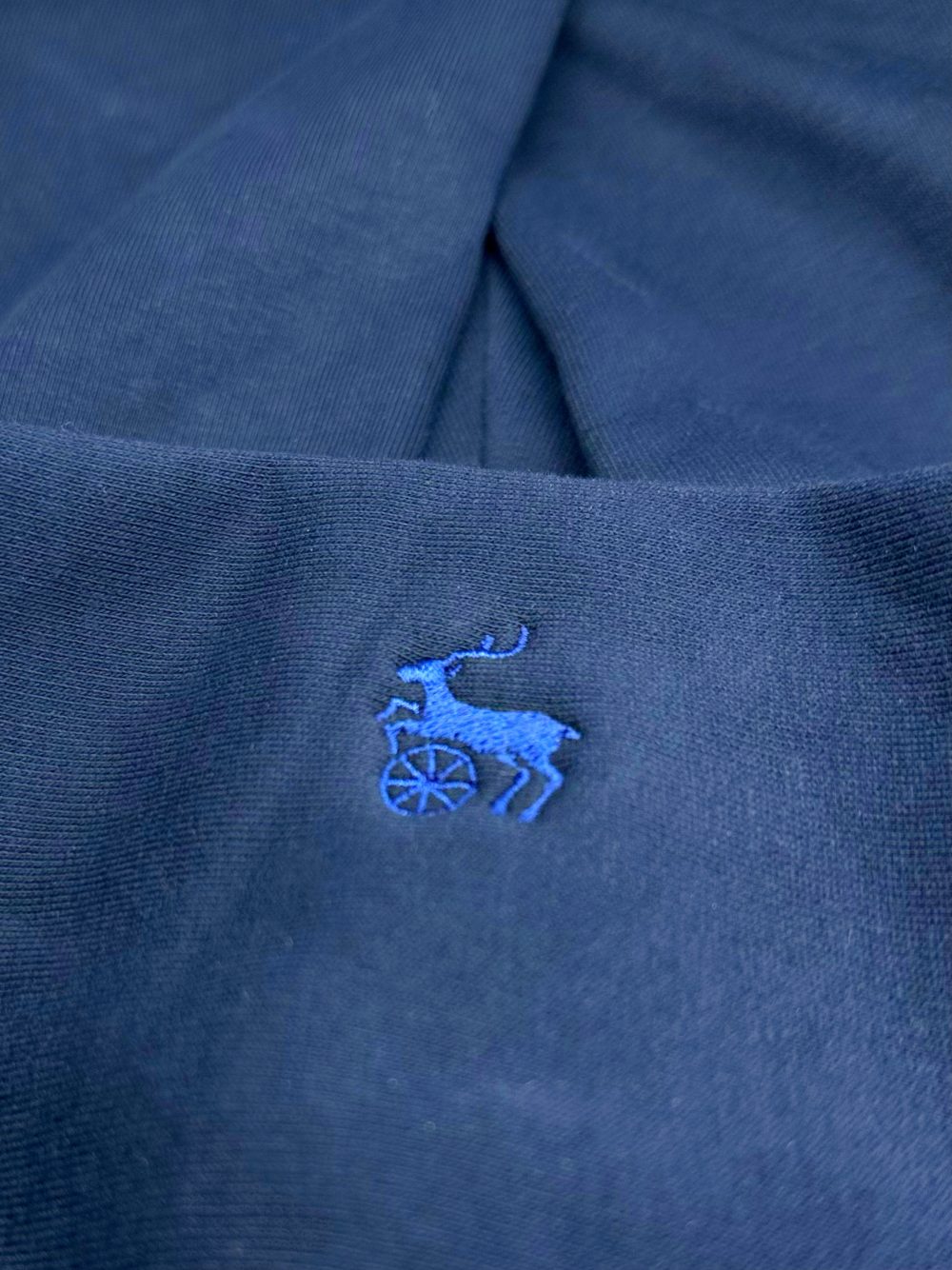 IMG_3215 Fosiger Hoodie
